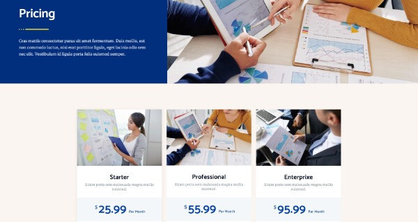 Premium WordPress Elementor Template Kit Bundle | Finance & Law Firm theme