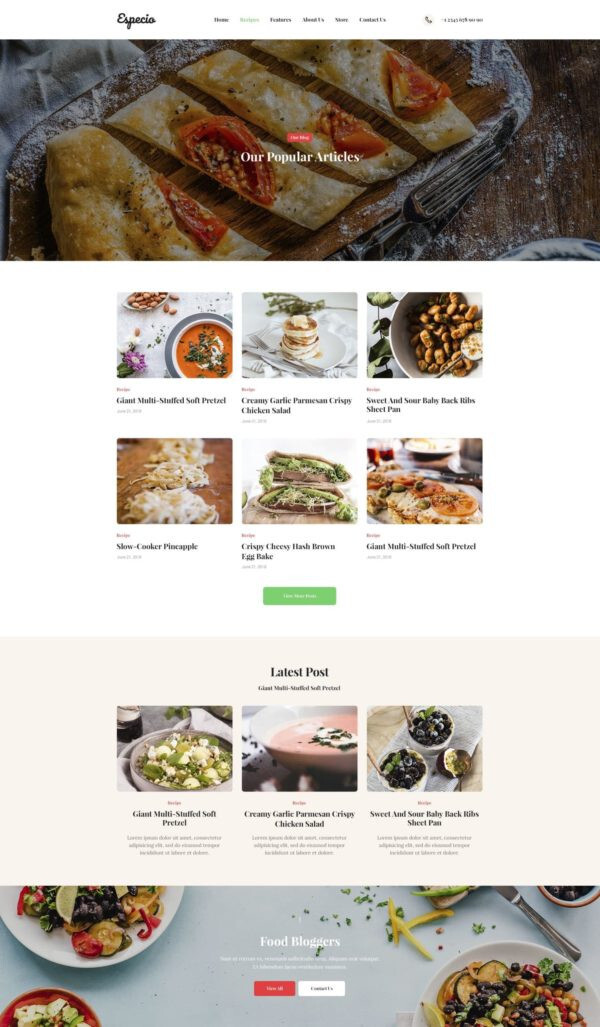 Premium WordPress Elementor Template Kit Bundle | Blog & Podcast theme
